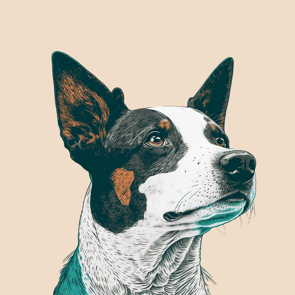patchy black and white dog with pointy ears and speckles